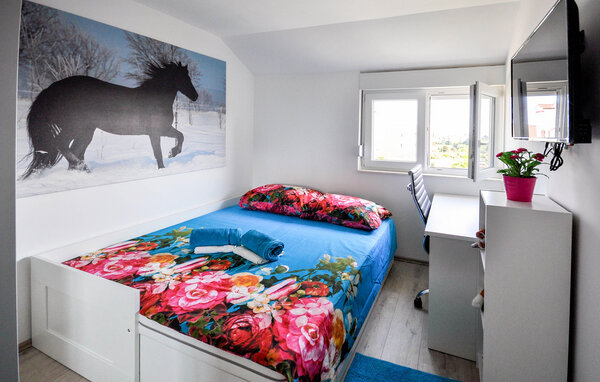 Ferienwohnung - Novigrad , Kroatien - CIU906 601
