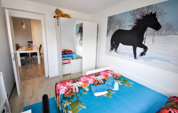 Ferienwohnung - Novigrad , Kroatien - CIU906 602