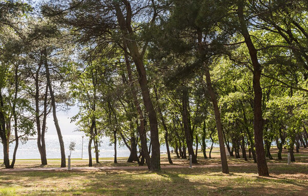 Semesterlägenhet - Umag , Kroatien - CIU928 102