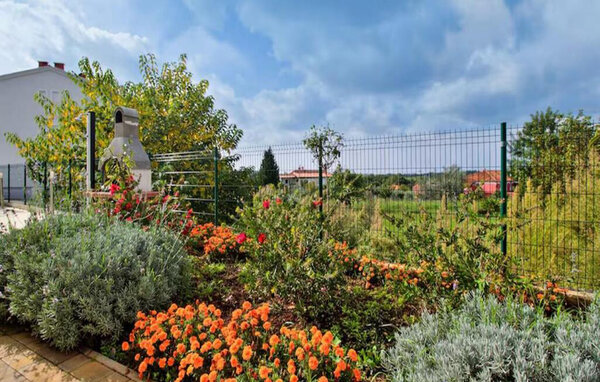 Holiday Home - Umag-Plovanija , Croatia - CIU952 101