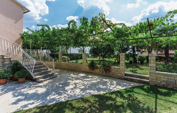 Apartment - Kanfanar , Croatia - CIV655 101