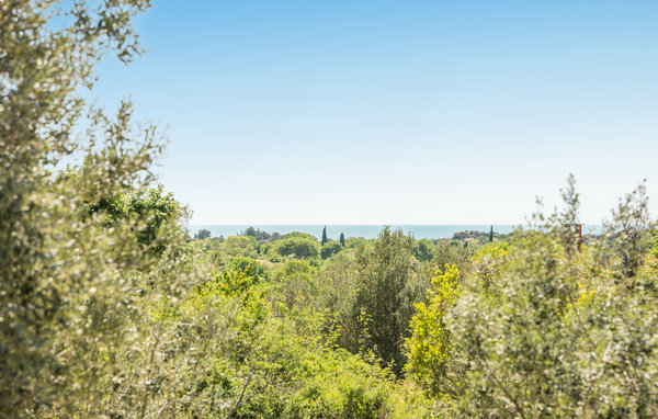 Domy wakacyjne - Rovinj , Chorwacja - CIV752 201