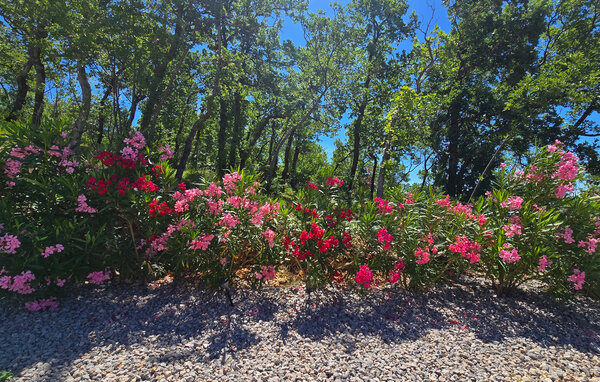Holiday Home - Crikvenica-Jadranovo , Croatia - CKA482 103