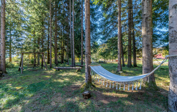 Domy wakacyjne - Gorski kotar - Mrkopalj , Chorwacja - CKB298 108