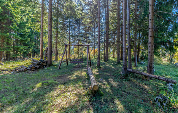 Domy wakacyjne - Gorski kotar - Mrkopalj , Chorwacja - CKB298 109