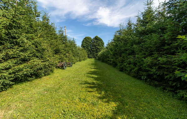 Domy wakacyjne - Gorski Kotar-Mrkopalj , Chorwacja - CKB303 104
