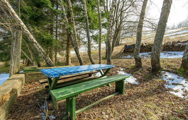 Domy wakacyjne - Gorski Kotar-Begovo Razdolje , Chorwacja - CKB329 101