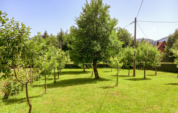 Dům 