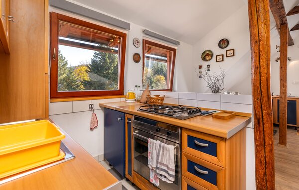 Apartment - Gorski Kotar-Ravna Gora , Croatia - CKB425 401