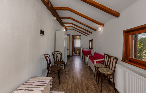 Domy wakacyjne - Gorski kotar - Ravna Gora , Chorwacja - CKB433 302