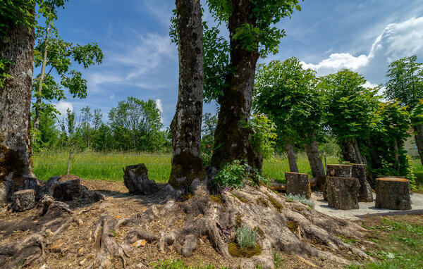 Domy wakacyjne - Gorski kotar - Ravna Gora , Chorwacja - CKB433 101