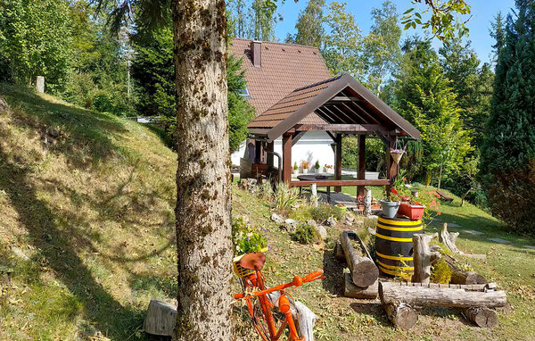 Kuća-za-odmor - Gorski Kotar - Lokve , Hrvatska - CKB438 106