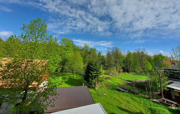 Apartment - Gorski Kotar - Delnice , Croatia - CKB439 7