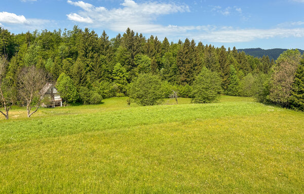 Apartment - Gorski Kotar - Trsce , Croatia - CKB452 201