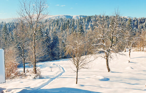 Domy wakacyjne - Gorski kotar - Moravice , Chorwacja - CKB454 14