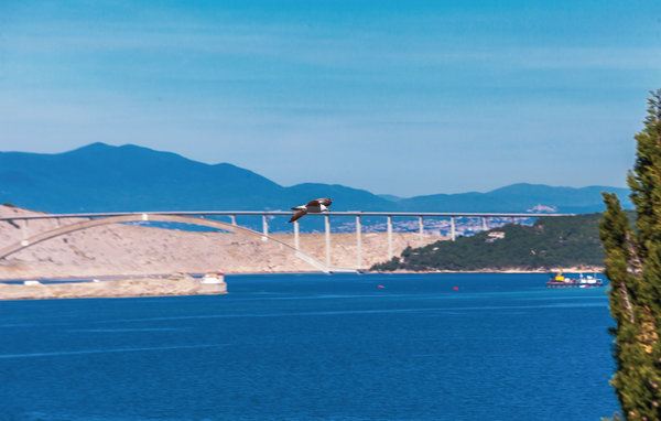 Apartament - Crikvenica-Jadranovo , Chorwacja - CKC175 203