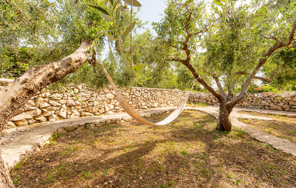 Ferienhaus - Pag - Dabovi stani , Kroatien - CKD009 103