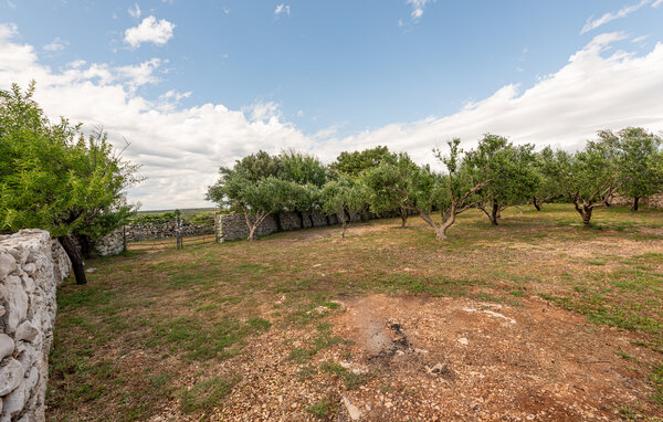 Ferienhaus - Pag - Dabovi stani , Kroatien - CKD009 105