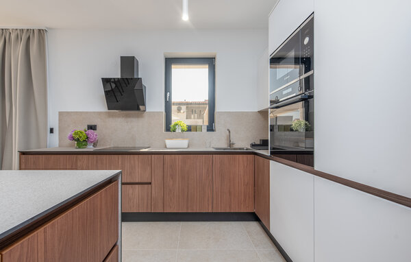 Domy wakacyjne - Pag -  Mandre , Chorwacja - CKD015 402