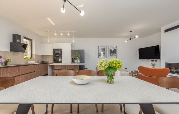 Domy wakacyjne - Pag -  Mandre , Chorwacja - CKD015 304