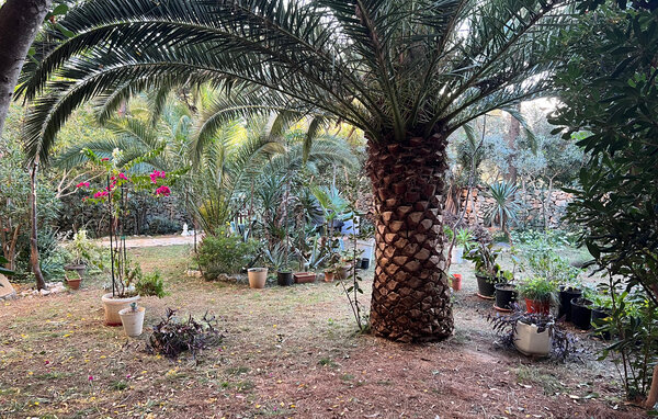 Ferienwohnung - Pag - Novalja , Kroatien - CKD127 107