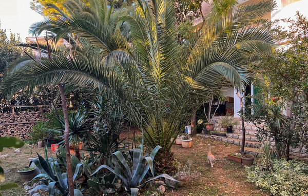 Appartement - Pag - Novalja , Kroatië - CKD128 105