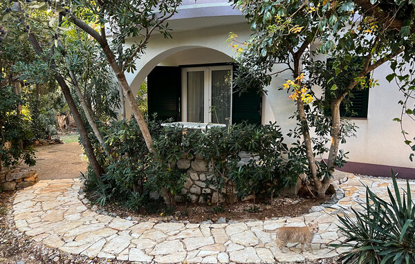 Appartement - Pag - Novalja , Croatie - CKD132 102