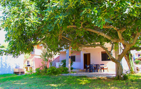 Apartment - Pag - Dinjiska , Croatia - CKD151 101