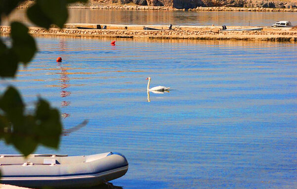 Apartment - Pag - Dinjiska , Croatia - CKD151 104