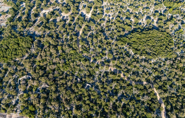 Location de vacances - Pag - Lun , Croatie - CKD152 85