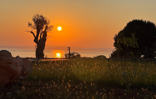 Location de vacances - Pag - Lun , Croatie - CKD152 201