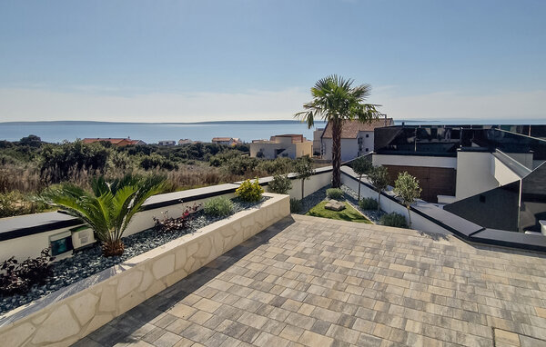 Domy wakacyjne - Pag - Mandre , Chorwacja - CKD153 102