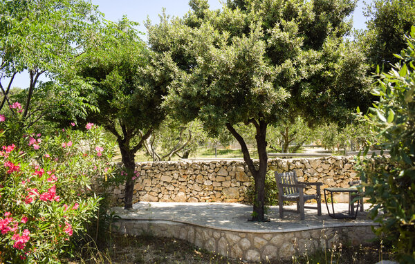 Ferienhaus - Pag - Mandre , Kroatien - CKD155 8