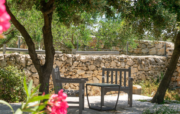 Ferienhaus - Pag - Mandre , Kroatien - CKD155 101