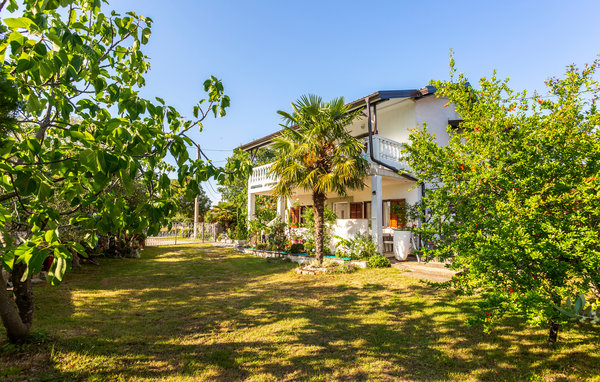 Apartament - Krk-Gabonjin , Chorwacja - CKI436 103