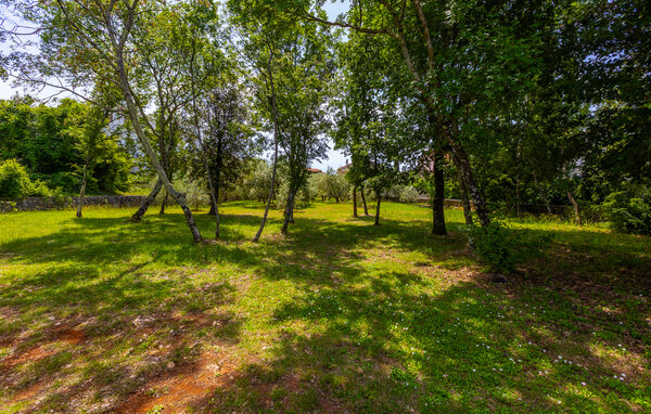 Apartament - Krk-Malinska , Chorwacja - CKI564 101