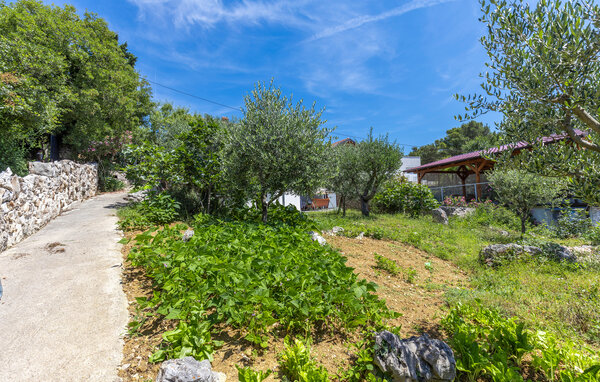 Apartmá 