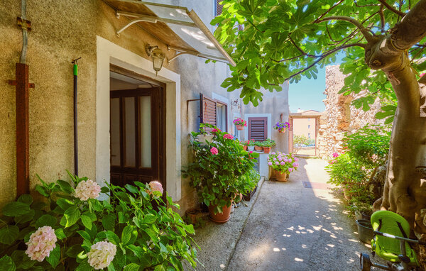 Appartement - Losinj-Mali Losinj , Croatie - CKL329 107