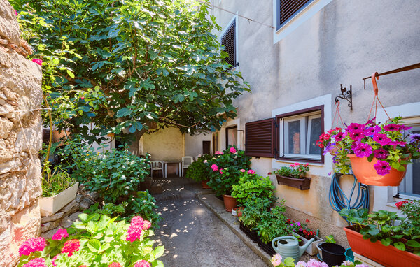 Appartement - Losinj-Mali Losinj , Croatie - CKL329 108