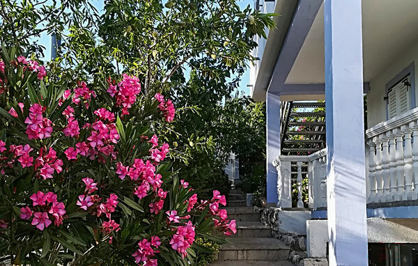 Apartament - Novi Vinodolski , Chorwacja - CKN852 102