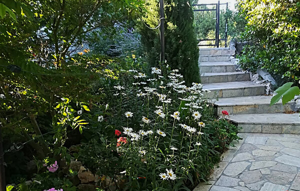 Apartament - Novi Vinodolski , Chorwacja - CKN853 104