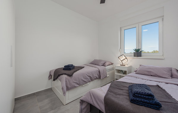 Domy wakacyjne - Pag - Mandre , Chorwacja - CKP075 605