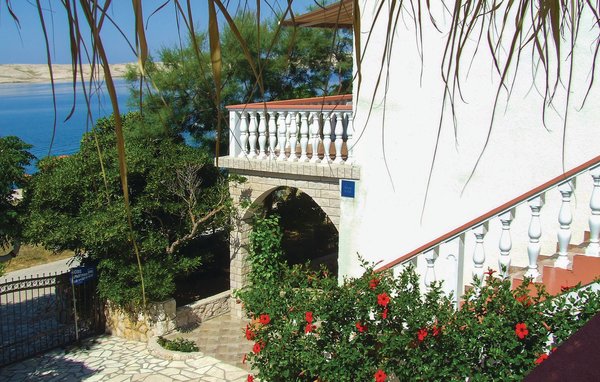 Apartman - Pag-Kustici , Hrvatska - CKP733 103