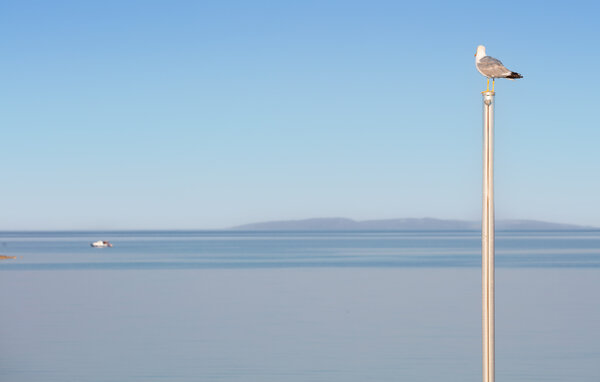 Apartment - Pag - Novalja , Croatia - CKP949 201