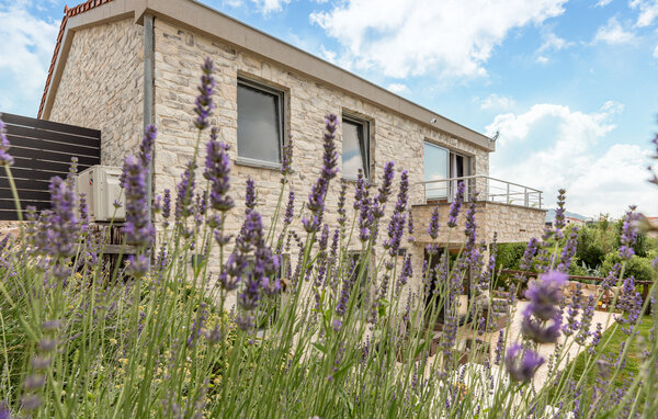 Semesterhus - Pag , Kroatien - CKP955 101