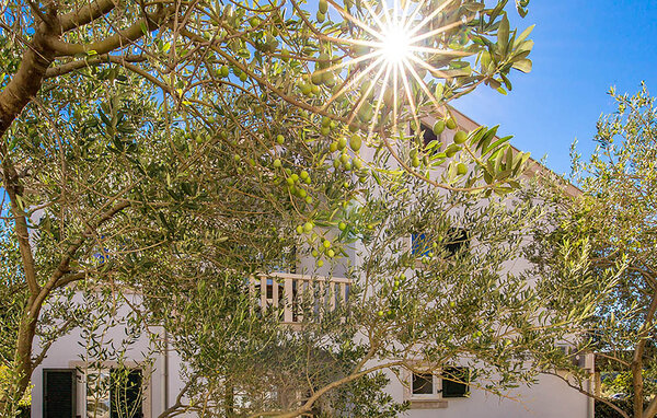 Ferienwohnung - Rab-Palit , Kroatien - CKR001 104