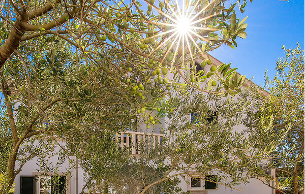 Ferienwohnung - Rab-Palit , Kroatien - CKR003 104