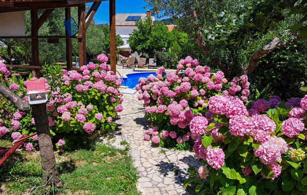 Ferienwohnung - Rab-Mundanije , Kroatien - CKR608 107