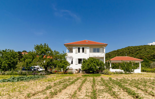 Ferienwohnung - Rab - Kampor , Kroatien - CKR629 1