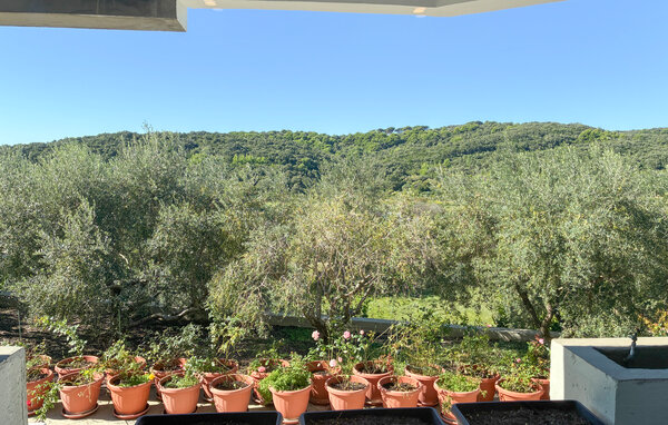 Apartment - Rab - Palit , Croatia - CKR937 201